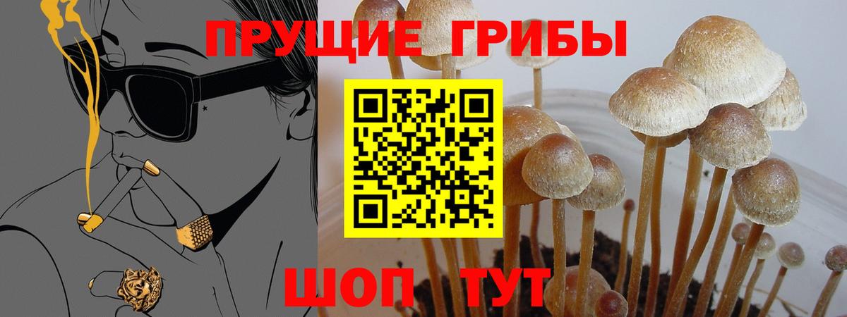 Галлюциногенные грибы Magic Shrooms  Вход с VPN  Химки 